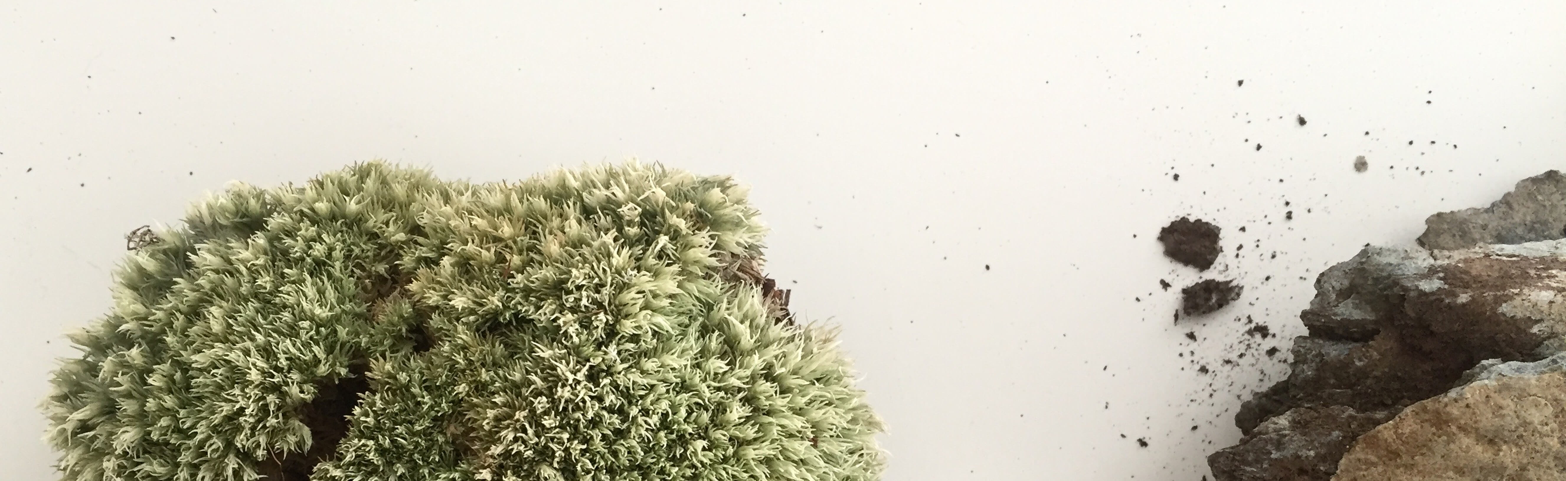 FullSizeRender_5306_1630