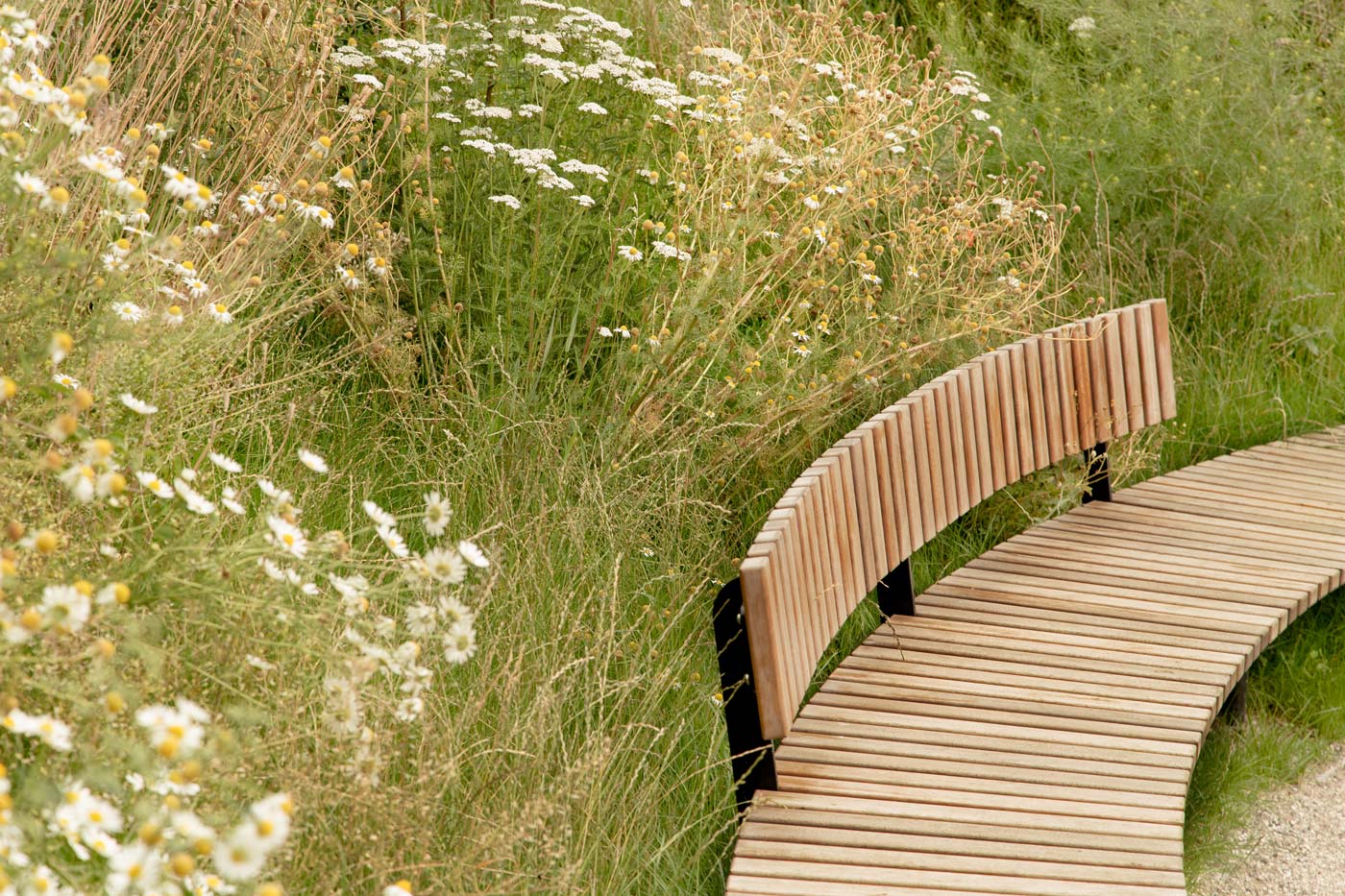 Detail Kastrup Activity Landscape Detail Kastrup Activity Landscape