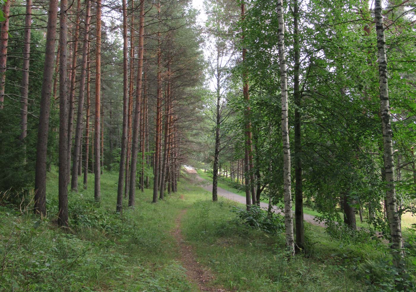 hameelinna_1400_982 hameelinna_1400_982
