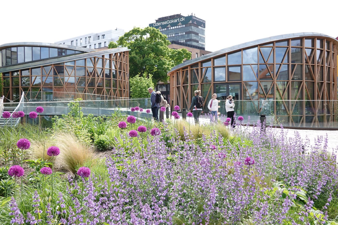 HCA garden - MASU Planning