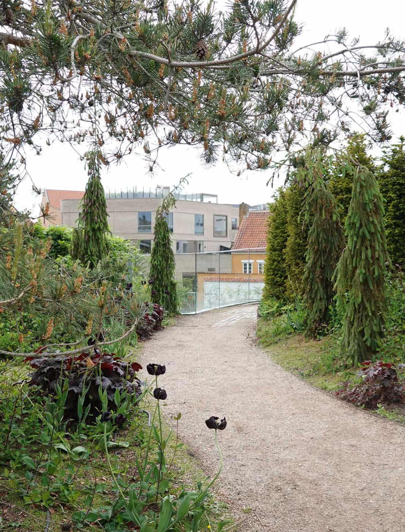 Dark garden - MASU Planning