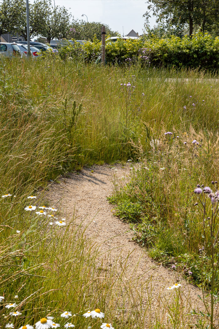 trail detail_Hvidovre