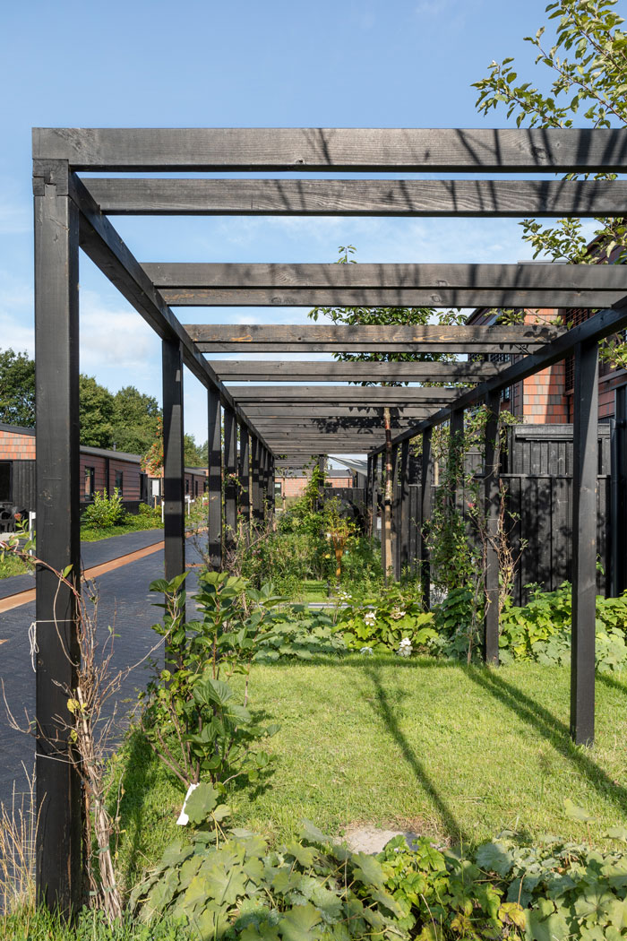 Gardens with pergolas_Solrækkerne