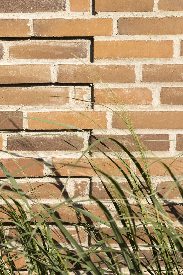 ZOOM IN GRASS WITH BRICK_BELLAJØJ