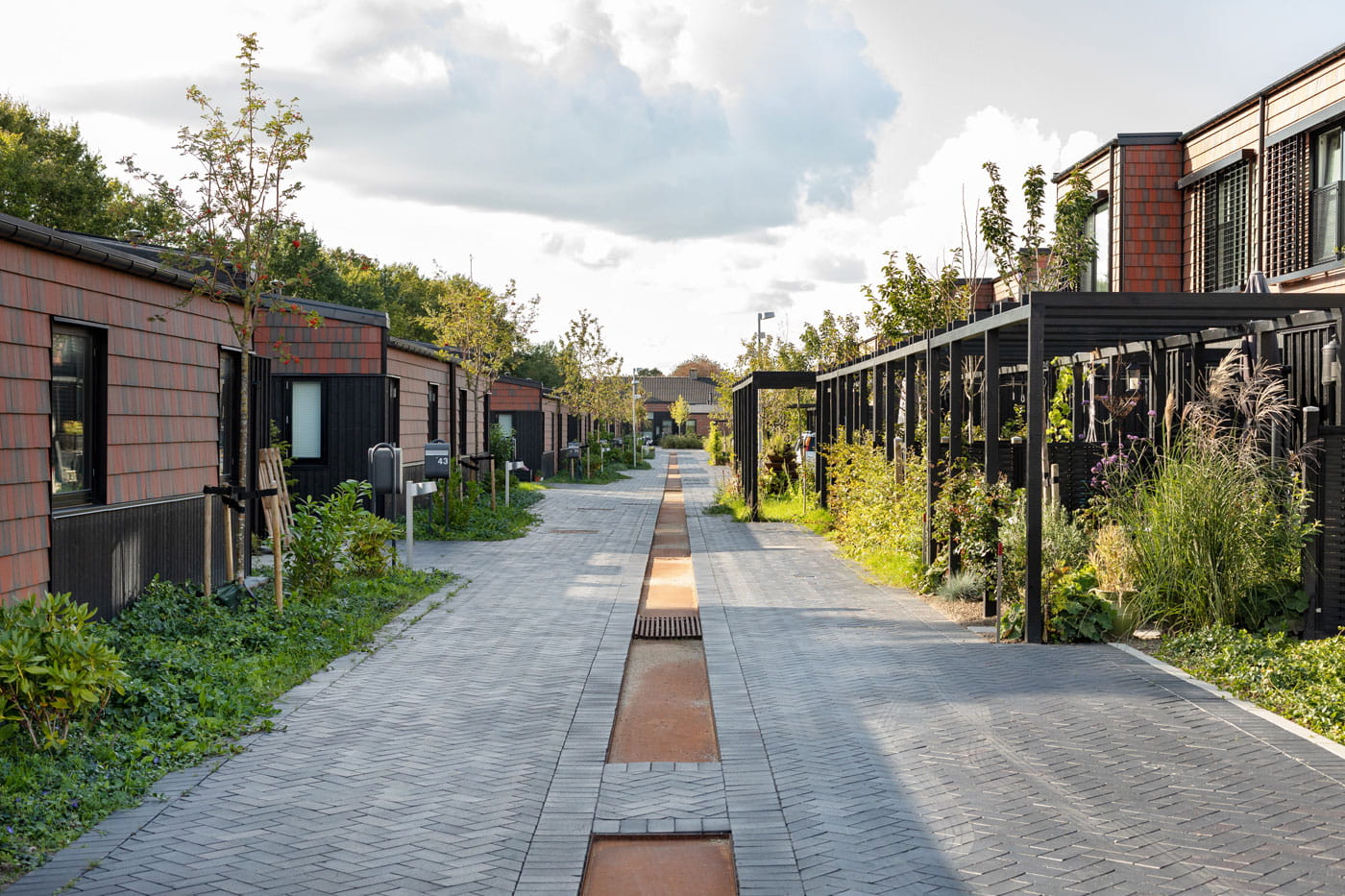 Main access_SOLRÆKKERNE