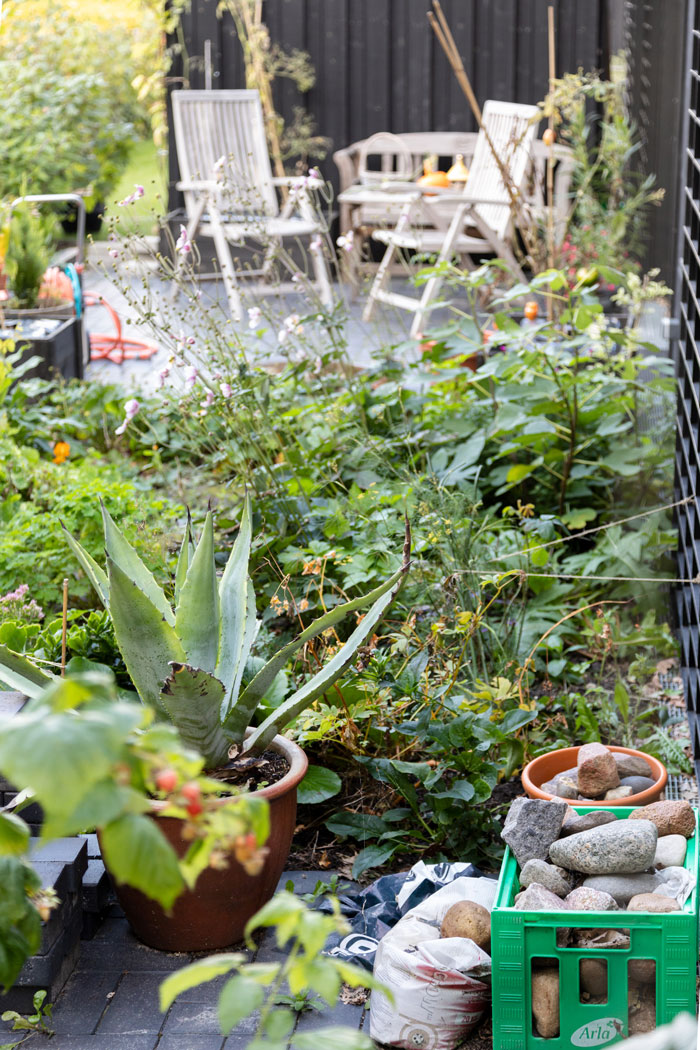 Garden detail_Solrækkerne