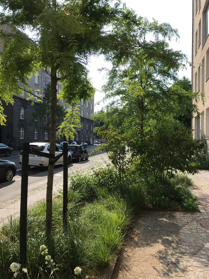 Pocket Park Thorvaldsensvej