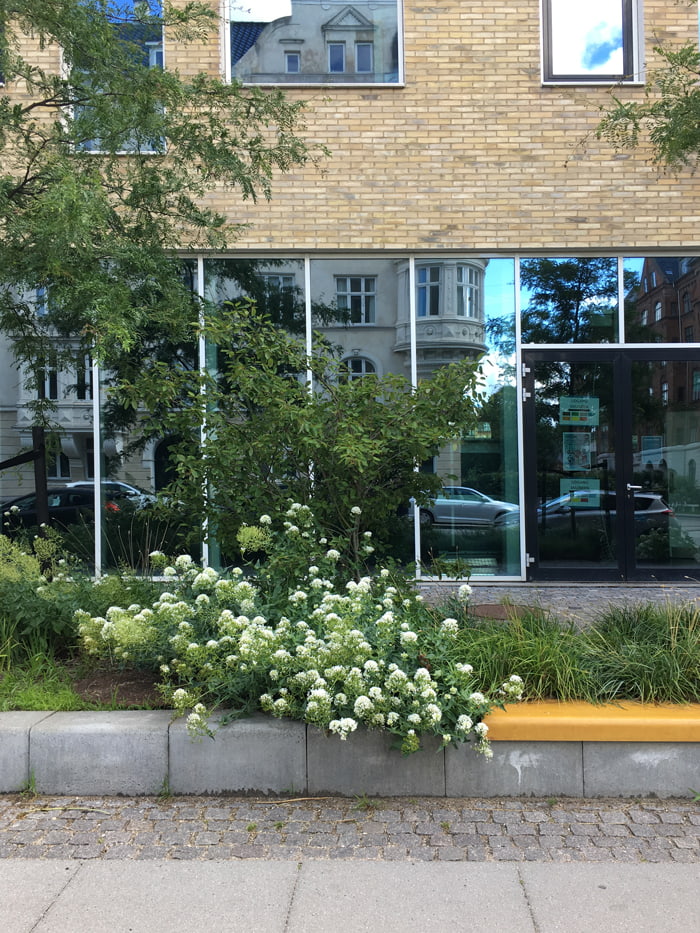 Pocket Park Thorvaldsensvej