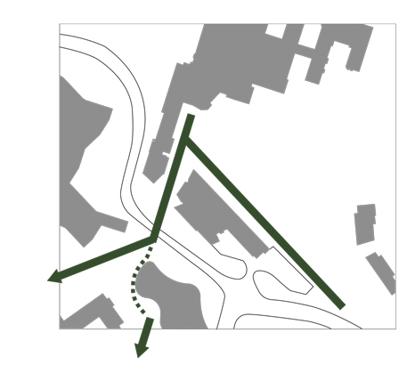 Aalto University Campus historic tree avenues