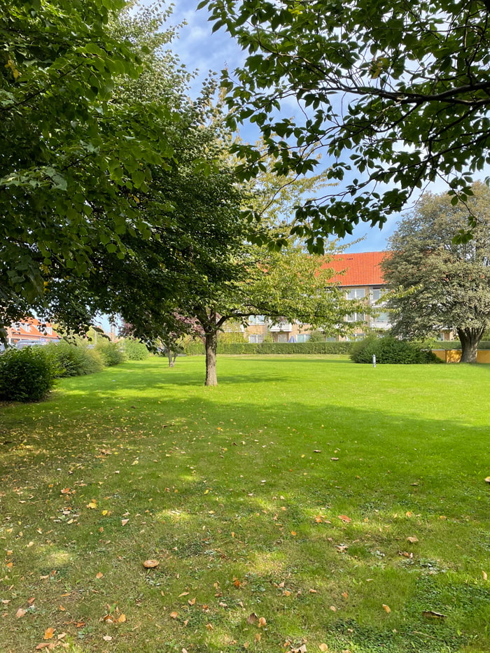 Elleparken existing situation