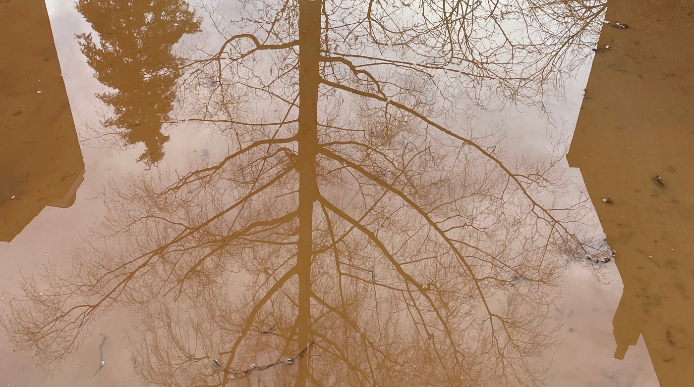 Classensgade renewal_03