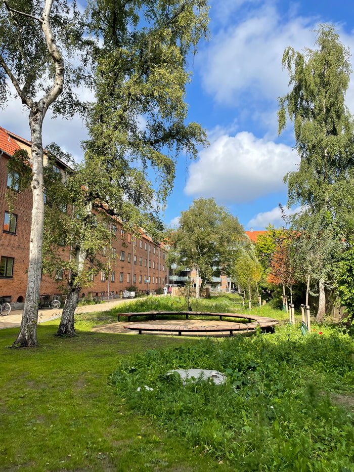 Nattergalevej opening_05