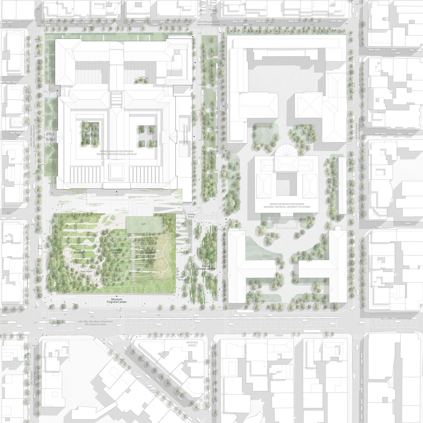 Site Plan