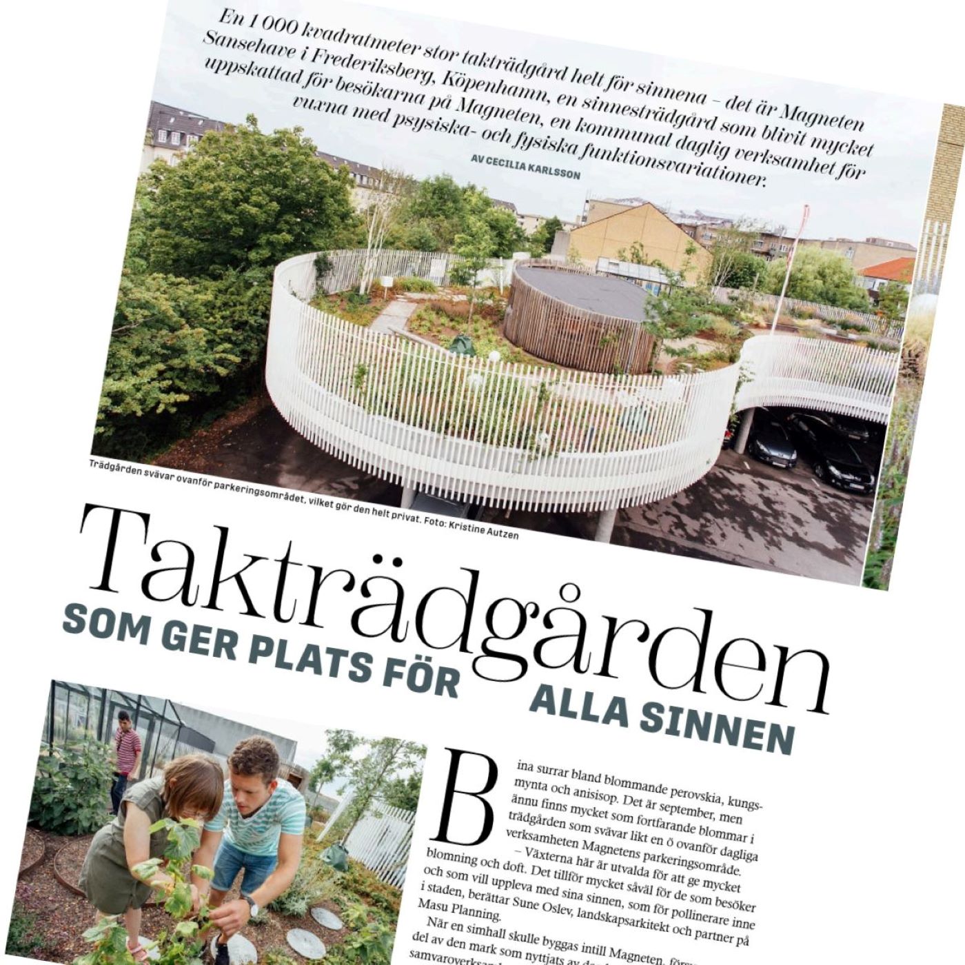 Magneten sansehave af MASU Planning i tidskriften landskap web 2